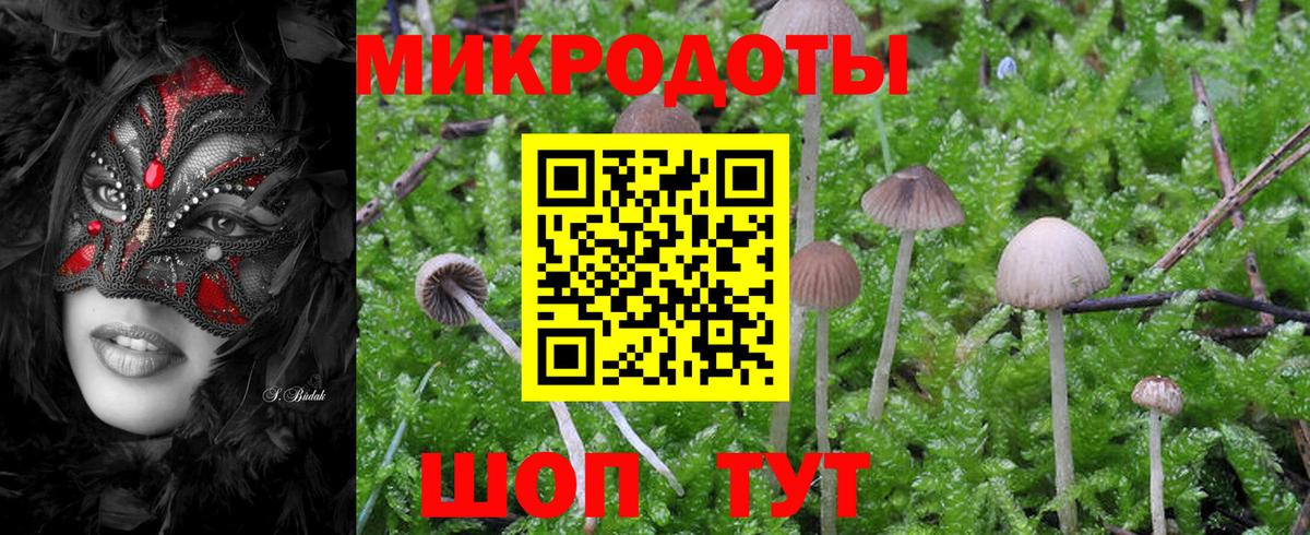 Псилоцибиновые грибы Magic Shrooms Тайшет